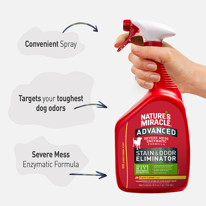 Nature's miracle advanced stain shop and odor eliminator foam